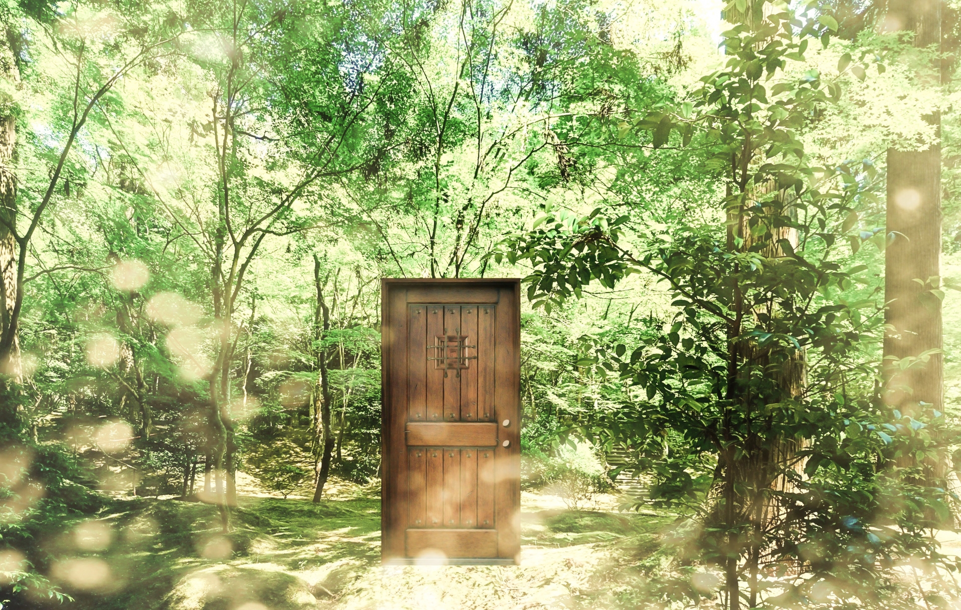 森の中の扉